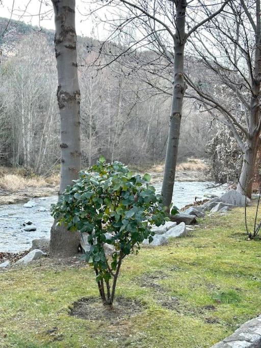 Acogedor Alojamiento En Martinet, Cerdanya, Puigcerda Exterior photo